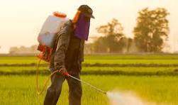 Crop Protection